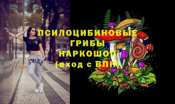 не бодяженный Арсеньев