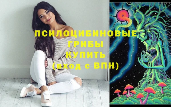 не бодяженный Арсеньев