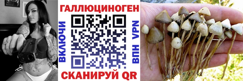 Псилоцибиновые грибы MAGIC MUSHROOMS  МЕГА ССЫЛКА  Сосновка 